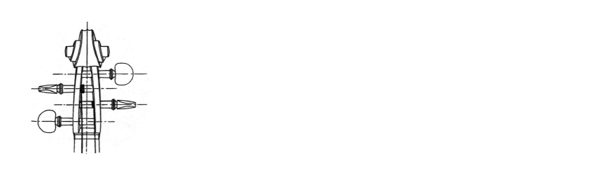 Nicola Schöllhorn